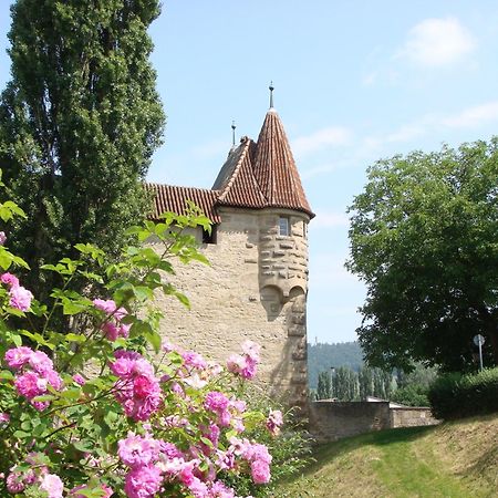 Weingut Gaestehaus Weigand 이포펜 외부 사진
