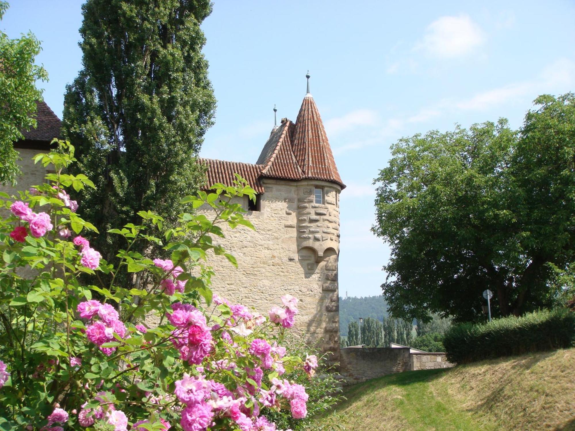 Weingut Gaestehaus Weigand 이포펜 외부 사진