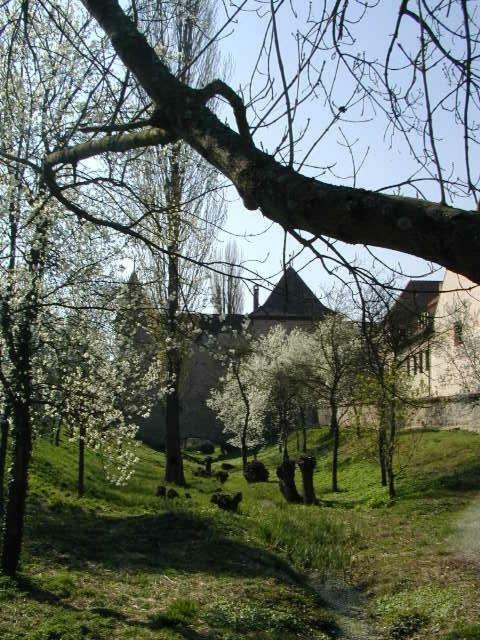 Weingut Gaestehaus Weigand 이포펜 외부 사진